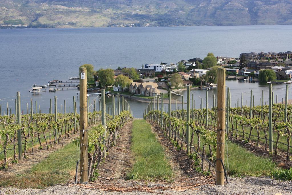 Lake Okanagan Bed And Breakfast West Kelowna Room photo