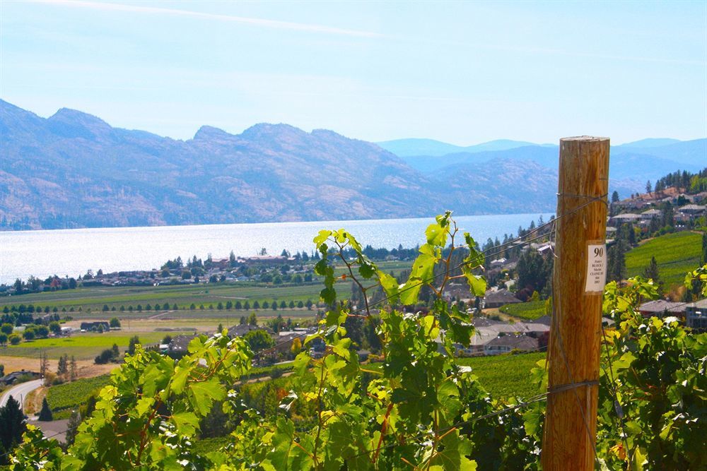 Lake Okanagan Bed And Breakfast West Kelowna Exterior photo